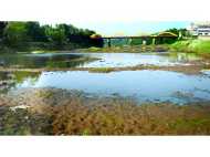 വരൾച്ച രൂക്ഷം: ഇടമുറിയാൻ വെമ്പൽ പൂണ്ട്  പത്തനംതിട്ടയിലെ നദികൾ , പമ്പയും അച്ചൻകോവിലാറും ഭീതിയില്‍!