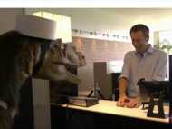 ഡിനോസറുകൾക്ക് വംശനാശം സംഭവിച്ചിട്ടില്ല; അതിഥികളെ സ്വീകരിക്കാനായി അവർ ഈ ഹോട്ടലിലുണ്ട്...