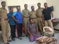 25കിലോ ചന്ദനവുമായി പിടിയിൽ: സംഭവം പാലക്കാട്! പിടികൂടിയത് ഫ്ലൈയിംഗ് സ്ക്വാഡ്!