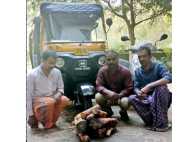 ഓട്ടോറിക്ഷയില്‍ കടത്താന്‍ ശ്രമം: 26 കിലോ ചന്ദനവുമായി മൂന്നംഗ സംഘം അറസ്റ്റില്‍