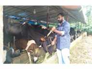 പശുവളര്‍ത്തലില്‍ നേട്ടം കൈവരിച്ച് യുവ കര്‍ഷകന്‍: വിജയക്കൊടി നാട്ടിയത് എംബിഎ ബിരുദധാരി