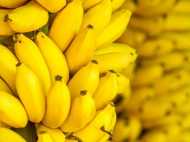 തുലാഭാരത്തിന്റെ വസ്തുക്കളും ഫലപ്രാപ്തിയും: രോഗശാന്തിക്ക് കദളിപ്പഴം! ത്വക് രോഗങ്ങള്‍ക്ക് ചേന!