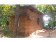 പ്രളയം സര്‍വതും തകര്‍ത്തു: പള്ളം കോളനിയെ സര്‍ക്കാരും കൈയൊഴിഞ്ഞു! ദുരിതാശ്വാസം ലഭിച്ചില്ലെന്ന്!!