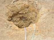 110 മണിക്കൂര്‍ കുഴല്‍ക്കിണറില്‍; പഞ്ചാബില്‍ രണ്ടു വയസ്സുകാരന് ദാരുണാന്ത്യം