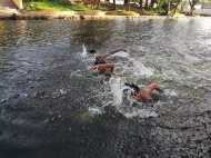 ആലപ്പുഴ കനാൽ നവീകരണം; മൂക്ക് പൊത്തുന്ന കാലത്തു നിന്ന് മുല്ല മണക്കുന്ന കാലത്തേക്ക്