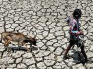 ഇന്ത്യയിലെ 42 ശതമാനം പ്രദേശവും അസാധാരണമായ വരള്‍ച്ച നേരിടുന്നു; 6 ശതമാനം പ്രദേശം അപൂര്‍വമായ വരള്‍ച്ചയുടെ പിടിയിലെന്ന് റിപ്പോര്‍ട്ട്