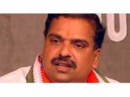 കേന്ദ്ര റെയിൽവേ മന്ത്രിയെ ഉപദേശിക്കാനുള്ള യോഗ്യത  മുഖ്യമന്ത്രിക്കില്ല: പി.കെ കൃഷ്ണദാസ്