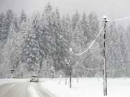 യുഎസിന്റെ തെക്കന്‍ സംസ്ഥാനങ്ങളില്‍  വീശിയടിച്ച്‌ ഷെര്‍ലി ശീതക്കാറ്റ്‌; ‌അപകടങ്ങളില്‍ 9 മരണം