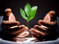 ലോക പരിസ്ഥിതി ദിനം: നമുക്ക് വേണം നല്ലൊരു നാളെ, കയ്യും മെയ്യും മറന്ന് സംരക്ഷിക്കാം ഈ പരിസ്ഥിതിയെ