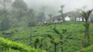 നല്ലോണം തണുക്കാം...ഉല്ലസിക്കാം; മൂന്നാറിൽ തണുപ്പ് കുറയുന്നു; സഞ്ചാരികൾ കൂടുന്നു