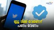 ട്വിറ്ററില്‍ ബ്ലൂ ടിക്ക് കിട്ടാന്‍ ഇനി ഓരോ മാസവും പണമടയ്ക്കണം... നിരക്കുകള്‍ ഇങ്ങനെ; കടുപ്പിച്ച് മസ്‌ക്