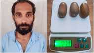 കണ്ണൂർ വിമാനത്താവളത്തിൽ ശരീരത്തിനുളളിൽ ഗുളിക രൂപത്തിൽ സ്വർണം കടത്താൻ ശ്രമം; യുവാവ് അറസ്റ്റിൽ
