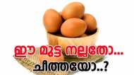 മുട്ട കേടായോ എന്ന് എങ്ങനെ അറിയും...? പൊട്ടിക്കേണ്ട, എളുപ്പവഴികള്‍ വേറെയുണ്ട്..!!
