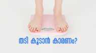 അമിതമായി ഭക്ഷണം കഴിക്കുന്നത് മാത്രമല്ല പൊണ്ണത്തടിക്ക് കാരണം; ഈ ശീലങ്ങള്‍ ഒഴിവാക്കി നോക്കൂ