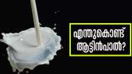 ആട്ടിന്‍പാലിലേക്ക് മാറിയാലോ..? എന്തൊക്കെയാണ് ഗുണങ്ങള്‍ എന്ന് അറിയേണ്ടേ?