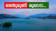 ഒരു മരത്തിന്റെ പേരിൽ അറിയപ്പെടുന്ന വന്യജീവി സങ്കേതം; ശെന്തുരുണി സൂപ്പറാണ്, ട്രെക്കിംഗും ക്യാമ്പിംഗും പൊളിക്കും