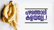 പല്ല് വെളുപ്പിക്കും, മുഖക്കുരു മാറ്റും, കണ്ണിനും ബെസ്റ്റ്..! പഴത്തിനേക്കാള്‍ പവറാണ് പഴത്തൊലി