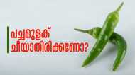 പച്ചമുളക് ദിവസങ്ങളോളം കേടാകാതെ സൂക്ഷിക്കാം; അടുക്കളയില്‍ തന്നെയുണ്ട് പോംവഴികള്‍