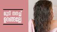 തലയില്‍ പേനും താരനും നിറയുന്നോ..? നിങ്ങളുടെ ഈ ഒരൊറ്റശീലം മാറ്റിയാല്‍ മതി