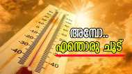 മലയാളിക്ക് സൂര്യകോപമോ? ചൂട് 41 ഡിഗ്രി വരെയാകും, 12 ജില്ലകളിൽ യെല്ലോ അലർട്ട്, മഴ സാധ്യത അറിയാം