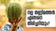 നല്ല തണ്ണിമത്തന്‍ എങ്ങനെ നോക്കി വാങ്ങും..? ഇക്കാര്യങ്ങള്‍ പരിശോധിക്കാന്‍ മറക്കല്ലേ..!