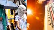 ഡൽഹിയിൽ 12 വർഷത്തിനിടയിലെ ഏറ്റവും ചൂടേറിയ രാത്രി; വെന്തുരുകി തലസ്ഥാനം, 20 മരണം