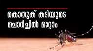 കൊതുക് കടിയുടെ ചൊറിച്ചിലും വീക്കവും മാറുന്നില്ലേ..!? ടൂത്ത് പേസ്റ്റ് മുതല്‍ ഉള്ളി വരെ നിങ്ങളെ സഹായിക്കും