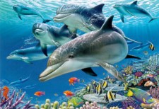 Deep Sea