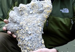 Josh Gates displays 'Yeti' footprints to the media 