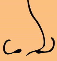 nose