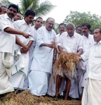 Leader of the Opposition Oommen Chandy and members of a United Democratic Front delegation visit the water-logged paddy fields in Kuttanad in Alappuzha 
