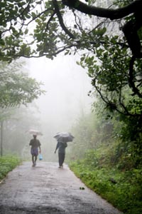 Summer rains lash Kerala