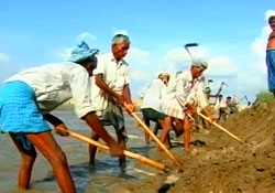 Champaran village tames a 'mad' river