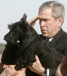 Bush with Barney
