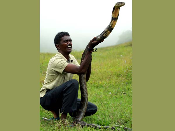 എന്തൊരു സന്തോഷം