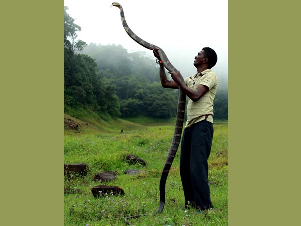 എന്തൊരു നീളം