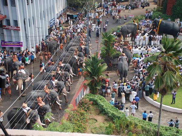 എല്ലാം ഗുരുവായൂരപ്പന്റെ അനുഗ്രഹം