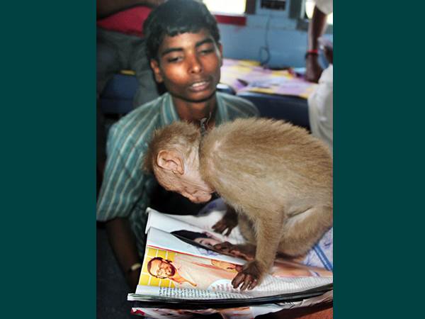ലാല് ജോസിന്റെ പുതിയ ചിത്രമേതാണെന്ന് നോക്കട്ടെ