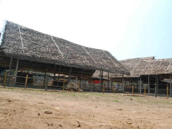 കാശ്യപാശ്രമം