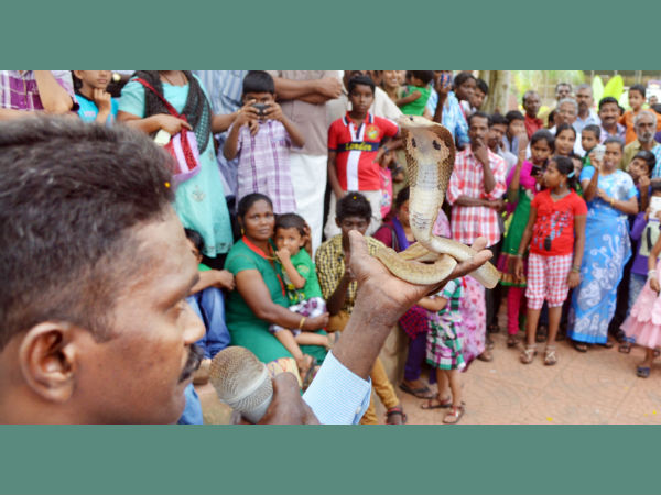 മൃഗശാലയില്