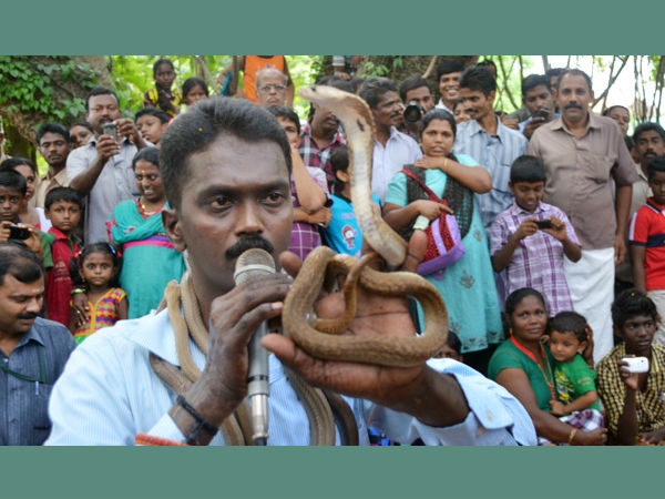 പാമ്പുകളെ പേടിക്കല്ലേ