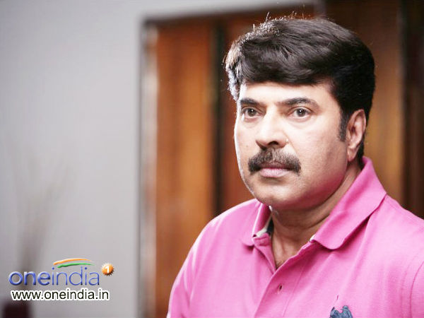 മമ്മൂട്ടി ചെയര്മാന്