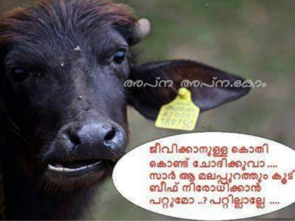 അത് പോത്തല്ല സാര്