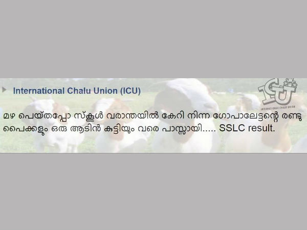 പൈക്കള്ക്കും എ പ്ലസ്