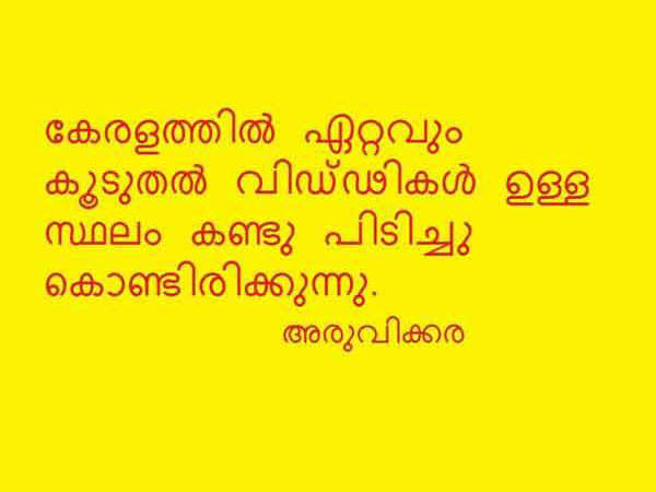 എല്ലാവരും വിഡ്ഡികള്