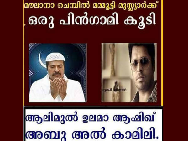 മൗലാനാ മമ്മൂട്ടി, ആലിമുല് ഉലമാ ആഷിക്