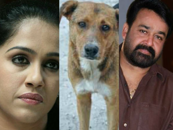 നായ്ക്കളെ കൊല്ലരുത്
