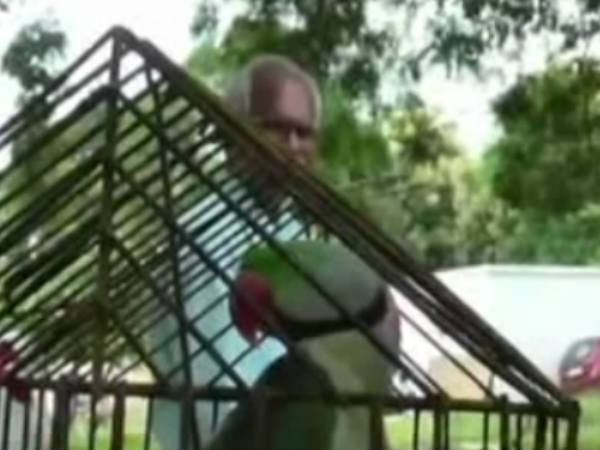 വനംവകുപ്പിന്