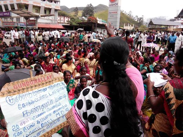 കത്തുന്ന മൂന്നാര്