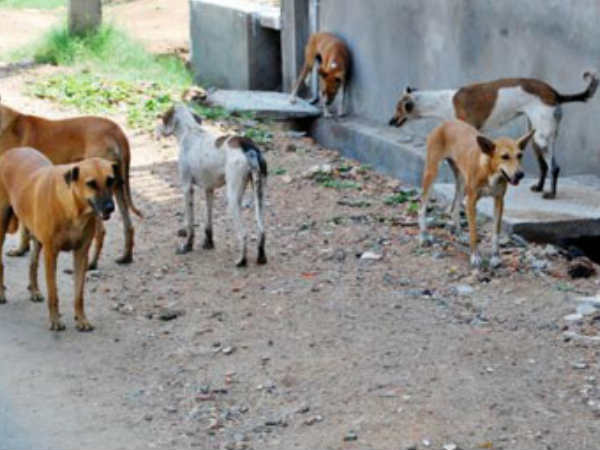 കേരളത്തിലെ സ്ഥിതി